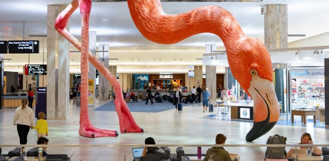 Edelweiss Air TPA Terminal – Tampa International Airport